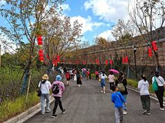 -黄贤森林公园