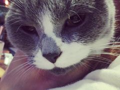 iphone_upload_pic-MIKAKU(万达广场上海宝山店)