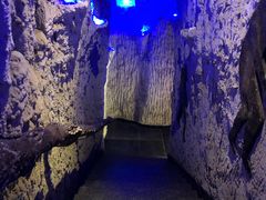 -很久以前羊肉串(农科路店)