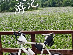 -白鹭湾湿地公园