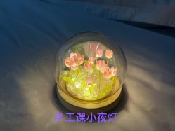 -宝生月子中心(独栋园林·福田店)