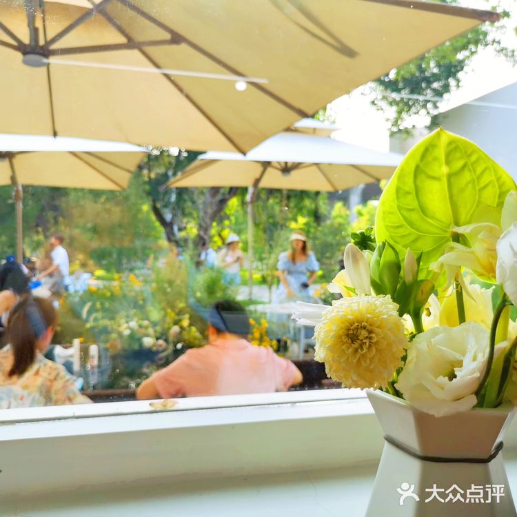 发呆一下午，出片300张