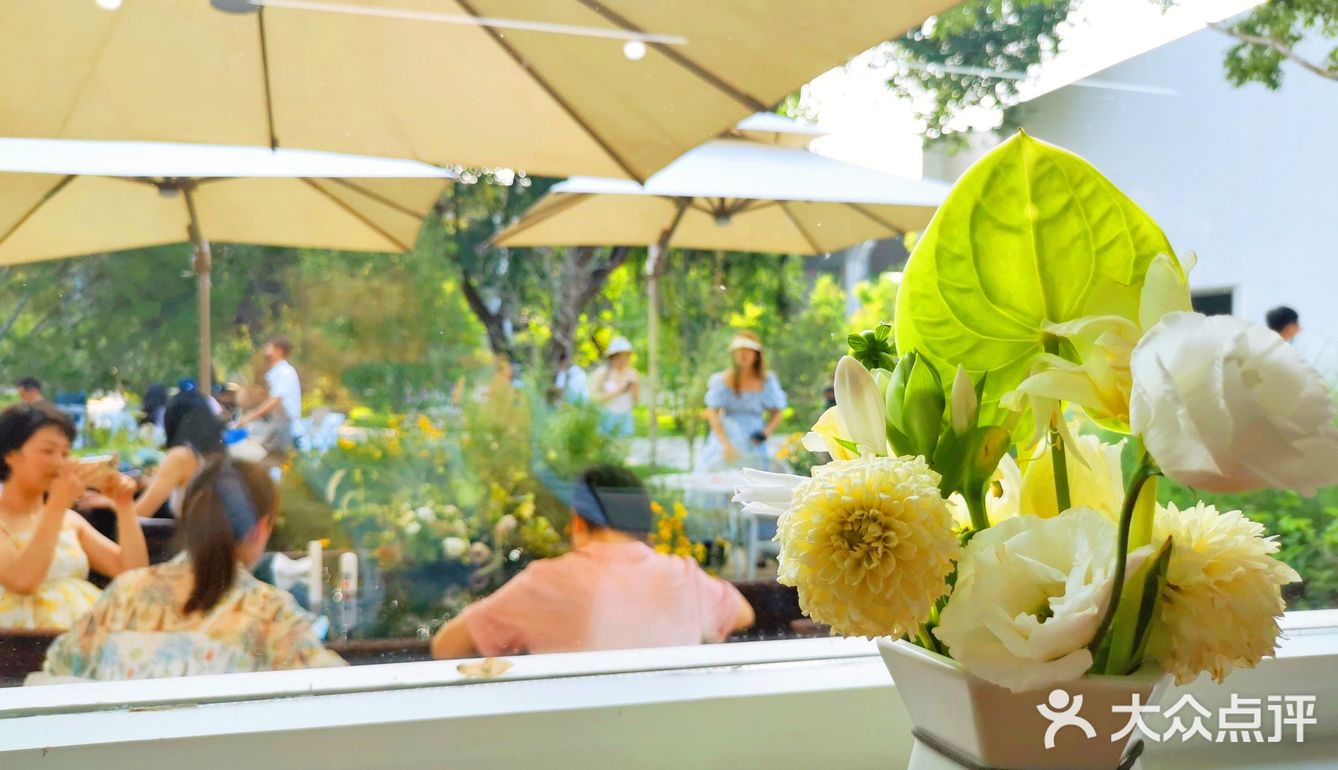 发呆一下午，出片300张