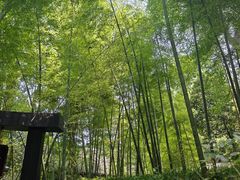 -灵隐飞来峰景区