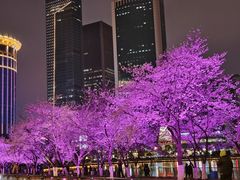 -西北湖绿化广场