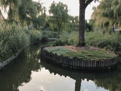 -三里河公园