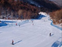 -亚布力新体委滑雪场