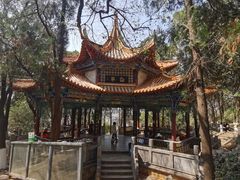 -昆明动物园