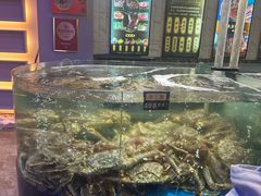 -蟹之国·精品蟹料理(极地店)