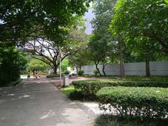 -晓港公园