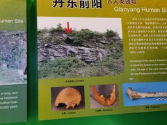 -辽宁古生物博物馆