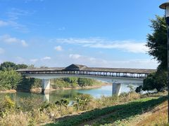 -福建鲤鱼洲酒店
