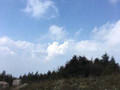 -白草畔自然风景区