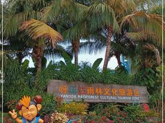 -呀诺达热带雨林