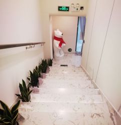 -海涛医疗美容·面部抗衰·注射美鼻