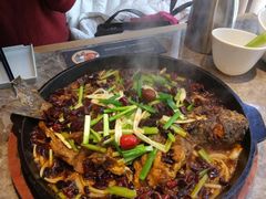 -老板恋上鱼(恒隆广场店)