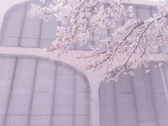 -龙美术馆(西岸馆)
