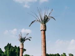 -上海月湖雕塑公园