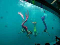 -瑞德姆美人鱼海底演艺主题餐厅(亚龙湾店)