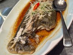 清蒸龙利鱼-聚福宝合苑食府(南头镇店)