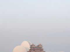 -野狸岛