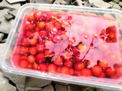 -樱桃山旅游景区