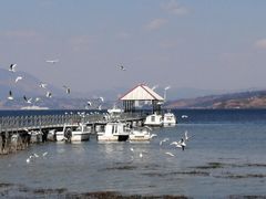 -阳宗海湿地