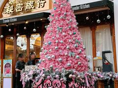 -秘密旅行Bonjour(黑金冠 江南西店)