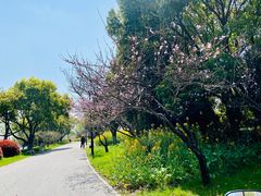 -石湖景区