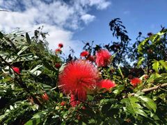 -福建鲤鱼洲酒店