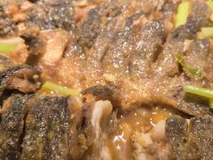 -老板恋上鱼(荣盛广场店)