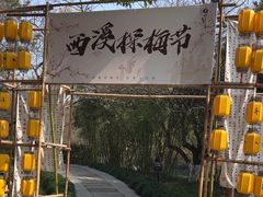 -西溪国家湿地公园