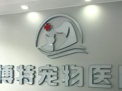 -博特宠物医院24h犬猫全科.骨科·异宠
