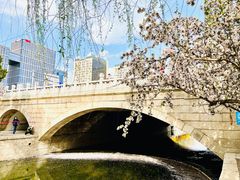 -海棠花溪(元大都城垣遗址公园)
