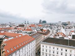 -斯蒂芬主教座堂(Stephansdom)