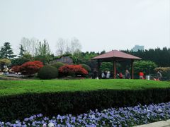 -嘉定紫藤园