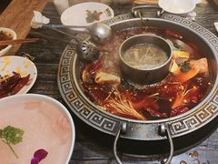 -杨肥肠火锅大排档(火车站花园店)