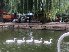 -团结湖公园