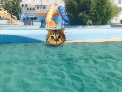 -南宫温泉水世界