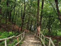 -香炉山国家森林公园