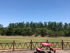 -奥林匹克森林公园北园-停车场
