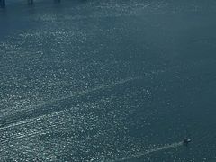 -大连君悦酒店·星海湾壹号Dalian·Dalian(星海广场店)