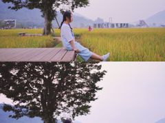 -艾米稻香小镇