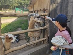 -西安秦岭野生动物园