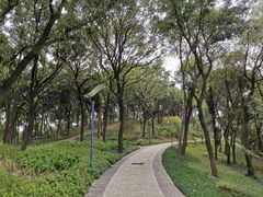 -上海市保健医疗中心