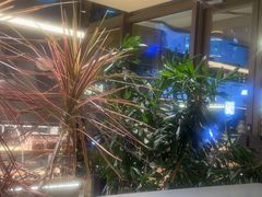 -Bco豆库(星耀天地店)