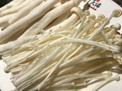 金针菇-仄园围炉坊·牛肉火锅·汕头卤水火锅(蛇口店)