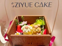 -ZIYUE CAKE线上店