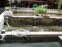 -茅台镇网红溶洞餐厅·茅帮菜馆