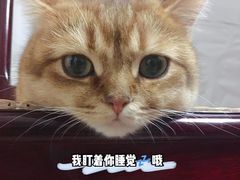 -和府捞面(天河领展广场店)